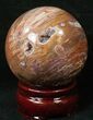 Colorful Petrified Wood Sphere #17828-1